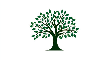 Obraz premium Tree isolated on white background