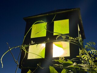 street lamp in the night