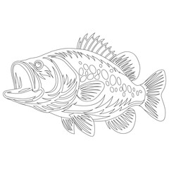 sea bass fish vector silhouette