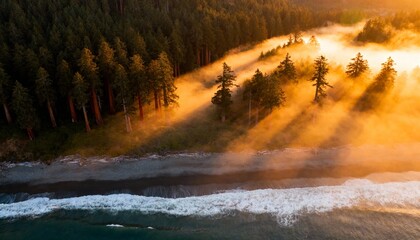 Golden sunbeams pierce through morning mist over a serene forest and ocean coastline
