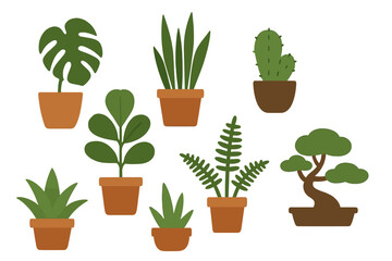 Assortment of various green potted houseplants and succulents in terracotta pots