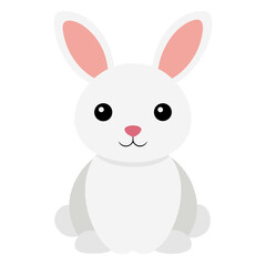 white rabbit on white background