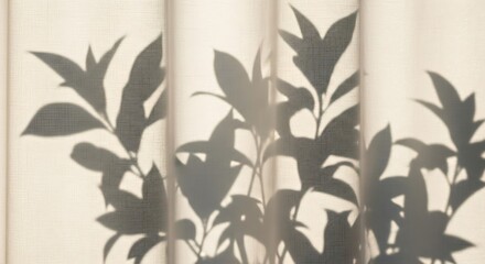 Silhouette of Leafy Plant Shadows on Light Curtain in Soft Natural Lighting