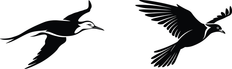 Black and white flying bird illustration, vector art of birds in motion, wildlife silhouette design, freedom and nature concept artwork