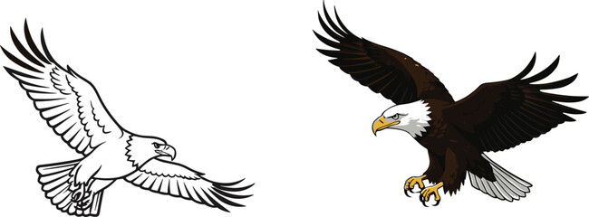 Flying eagle vector illustration, bald eagle drawing, wildlife bird art, powerful predator symbol, freedom flight design, detailed majestic eagle artwork