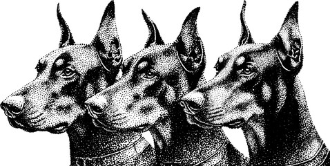 Intricate dotwork illustration of a three-headed canine in stipple style