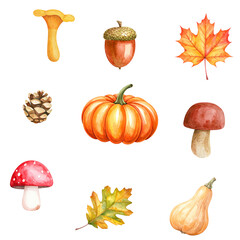 Seamless autumn pattern on transparent background. Set of autumn illustrations. 