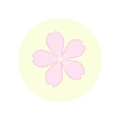 pink flower on white