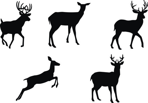 Set of five black deer silhouette icons in various poses including standing, walking, and leaping with antlers and natural anatomy