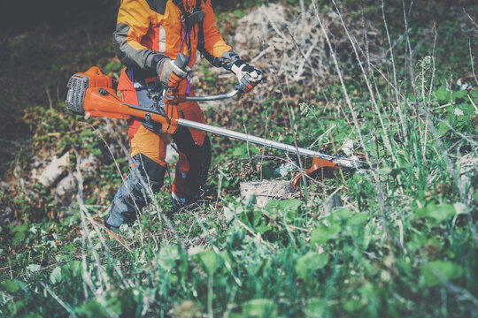 Man holding a brushcutter cut grass and brush. Lumberjack at work wears orange personal protective equipment. Gardener working outdoor in the forest. Security, occupation, forestry, worker, concept