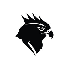 Black Hawk Head Silhouette Profile bird raptor