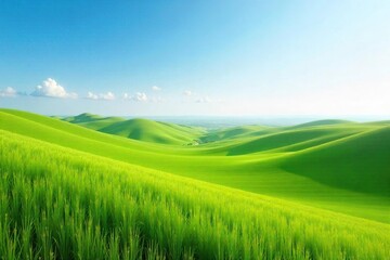 Serene Pastoral Landscape Vast Open Field Stretching to the Horizon Under a Clear Blue Sky