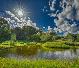 Teich im Schein der Sonne