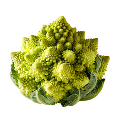  Romanesco green fractal vegetable garden beauty