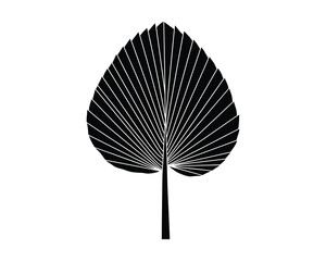 palm leaf silhouette