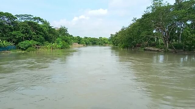 Small river through green trees
