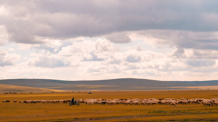 Fototapeta premium landscape with clouds and sky