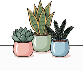 Cute indoor plants in decorative pots isolated on transparent background