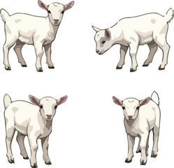 set of, goats, baby goat, mountain goat, domestic goat, wild goat, goat farming, goat milk, goat cheese, goat meat, goat breed, goat horns, goat beard, goat sound, goat behavior, goat habita