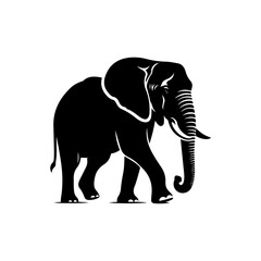 Fototapeta premium elephant isolated on white