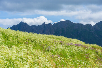 Obraz premium Hovden, Bø, Vesterålen, Nordland, Norway