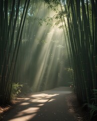 Fototapeta premium Bamboo Light Path – Zen Nature Walk