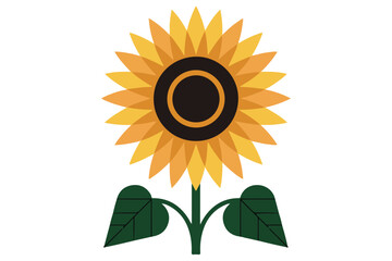 Minimalist sunflower with green stem and leaves flat color illustration isolated on white background
