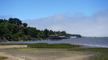 Coastal landscape near Point Reyes, California, with wooden piers, tidal grass, and fog rolling over the Marin shoreline.