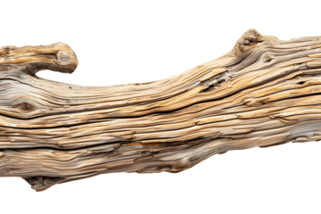 AI Image showcasing a weathered piece of driftwood against a stark black backdrop emphasizing