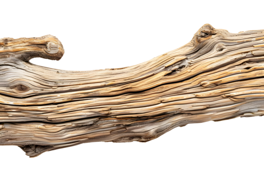 AI Image showcasing a weathered piece of driftwood against a stark black backdrop emphasizing