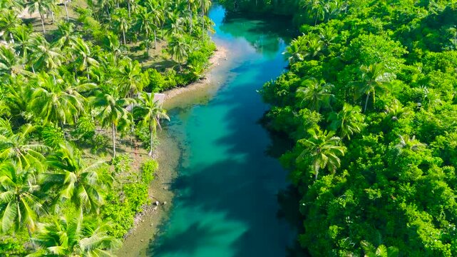 Aerial view of a narrow, clear turquoise water channel winding through dense tropical palm forests. Location: Danau Paisu Pok, Sumatra, Indonesia.