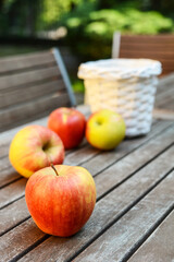 Ripe apple garden fruits on a wooden table. 