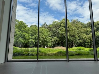 Beautiful green trees and other different plants under blue sky, view through panoramic windows