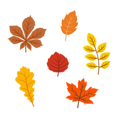 Vector Flat autumn leaves collection. Vector illustration.