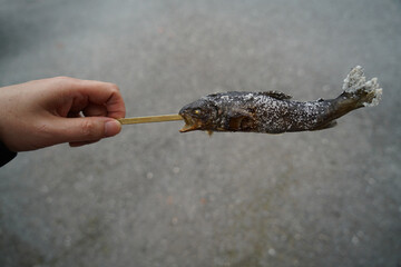 Grilled ayu fish on a stick covered with salt, traditional Japanese street food served in festivals, simple rustic style captured in natural light.