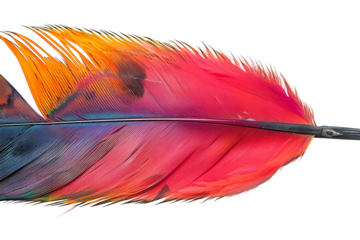 AI Image of a vibrant avian feather showcasing its radiant plumage against the darkness