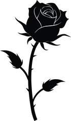 Obraz premium Elegant rose silhouette vector illustration with thorns and stem