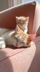 Adorable Ginger Kittens Relaxing Together on a Soft Pink Sofa