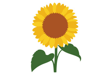 Minimalist sunflower with green stem and leaves flat color illustration isolated on white background
