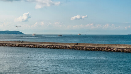 Fototapeta premium Istanbul, Turkey. Scenic view of the Bosphorus Strait with city view in the background. Urban skyline and city life. 