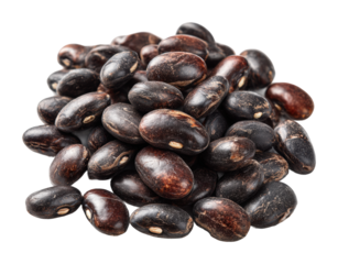 Harvesting black beans farm fields food isolated on transparent background