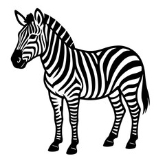Obraz premium Stylized zebra illustration with distinct black and white stripes 