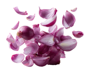 Slicing red onions in kitchen culinary food isolated on transparent background