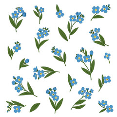 ForgetMeNot Flower Pattern on Black.