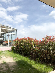 Modern glass caf&eacute; surrounded by green grass and flowering bushes under a bright blue sky. Peaceful outdoor garden scene in daylight.