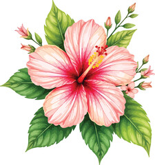 Obraz premium pink lily flower