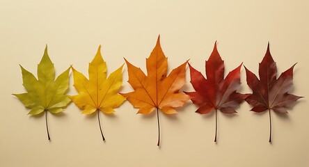 Row of maple leaves displaying color transition from green to deep red on beige background