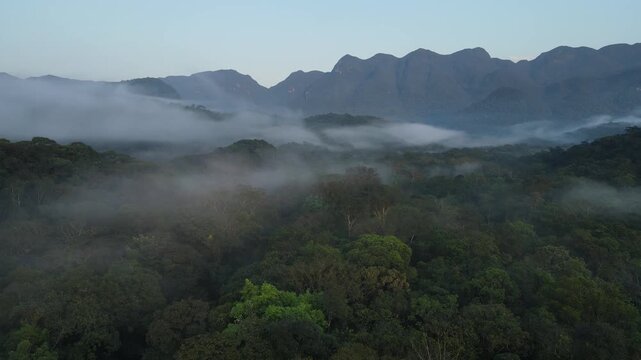 Vista a&eacute;rea com voo de drone ao nascer do sol em Morretes no litoral do Paran&aacute; sobre a mata atl&acirc;ntica com neblina com vista para as copas das &aacute;rvores da floresta