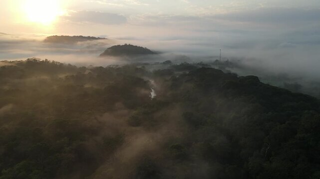 Vista a&eacute;rea com voo de drone ao nascer do sol em Morretes no litoral do Paran&aacute; sobre a mata atl&acirc;ntica com neblina com vista para as copas das &aacute;rvores da floresta
