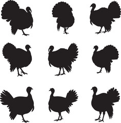 Turkey Bird Silhouette Vector Set Collection Thanksgiving Tom Poultry